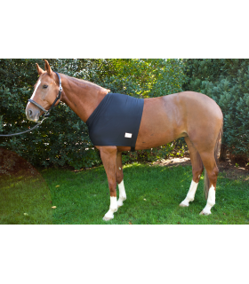 Borstbeschermer tegen gebroken vachtgroei van paarden