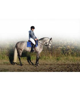 Doorzichtige regenjas met kapje