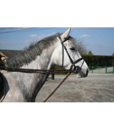 Slofteugels leer/koord