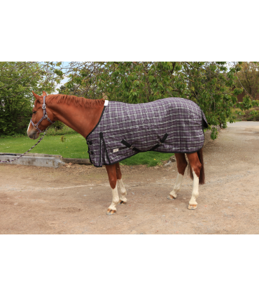 Paars transportdeken voor shetland