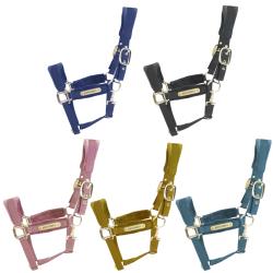 Velvet halster - Kentucky