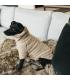 Honden sweater teddy fleece - Kentucky