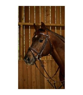 Hoofdstel Fancy van de Dy'on working collection met dubbele neusriem