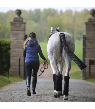 Tail guard - Tail bag - Kentucky