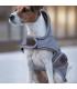 Hondenjas reflective & water repellent - Kentucky