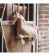Relax horse toy pony - Kentucky