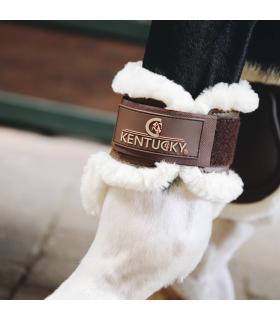 Kogelbeschermer wol young horse - Kentucky