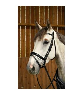 Hoofdstel met brede dubbele neusriem, wit Working Collection - Dy'on