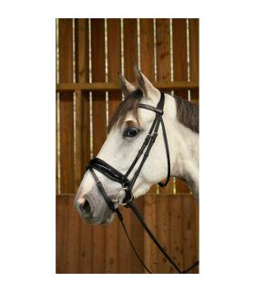 Snaffle hoofdstel met Working Collection Engels gecombineerd rijhalster - Dy'on