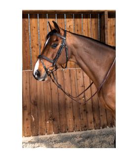 Hoofdstel Classic van de Dy'on Working Collection met gecombineerde neusriem