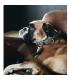 Gevlochtn nylon hondenhalsband - Kentucky