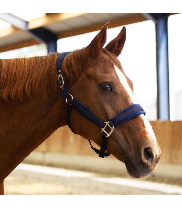 Fluwelen halster - Equestre