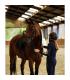 T-shirt met lange mouwen - Gina - Equestre
