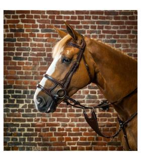 Hoofdstel met dubbele neusriem Dy'on Collection - Dy'on