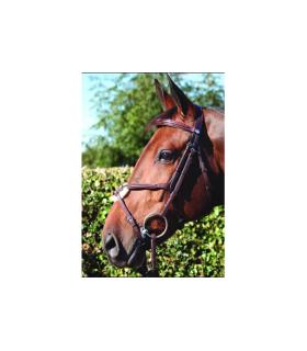 Anatomisch Dy'on hoofdstel met schaapsvacht rondellen op dubbele neusriem