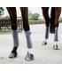 Polar Bandages Velvet - Paars - Kentucky