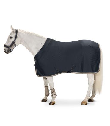 Zweetdeken Aerial jersey Classic Sports 2021 -Eskadron