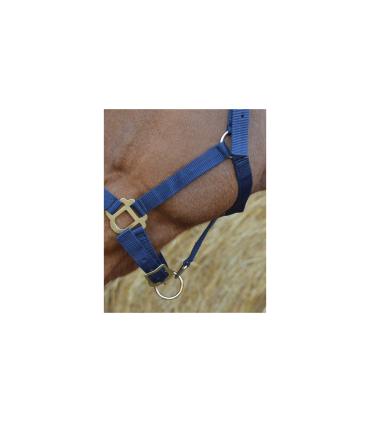 RIDING WORLD halster