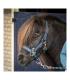 Equestrian Society halster en touw blauw