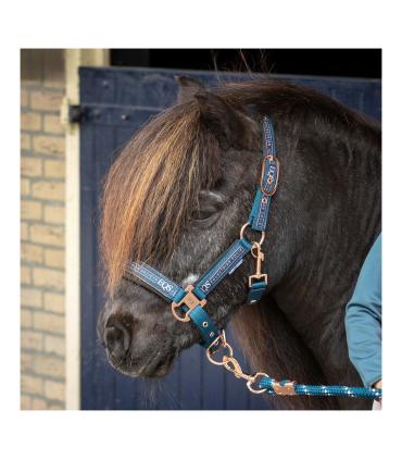 Equestrian Society halster en touw blauw